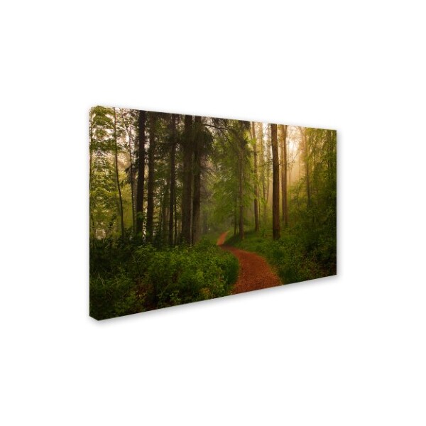 Leif Londal 'The Red Path ' Canvas Art,16x24